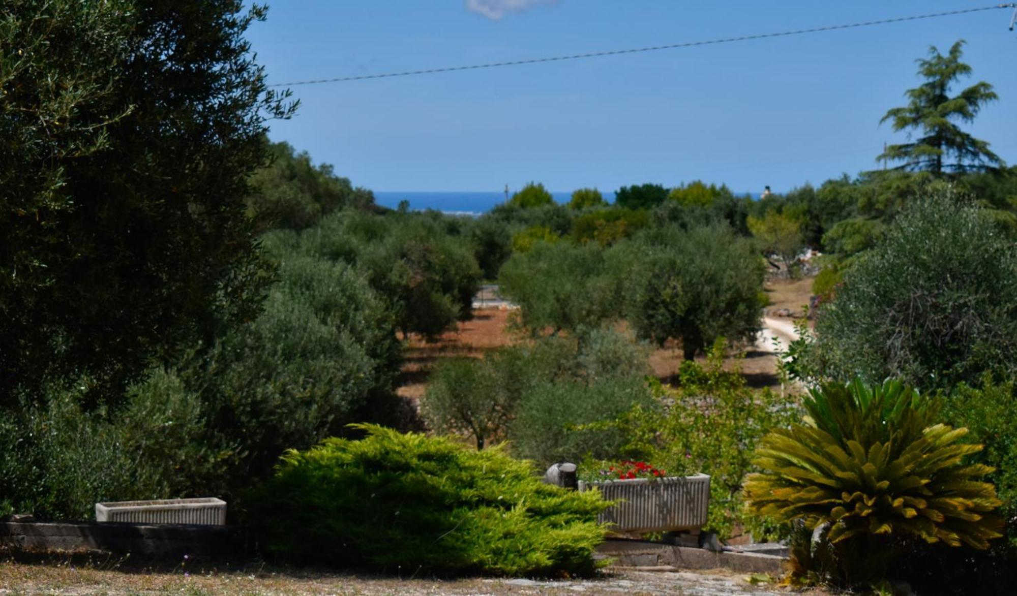 Terre D'Amore - For Couples Ostuni Exterior foto