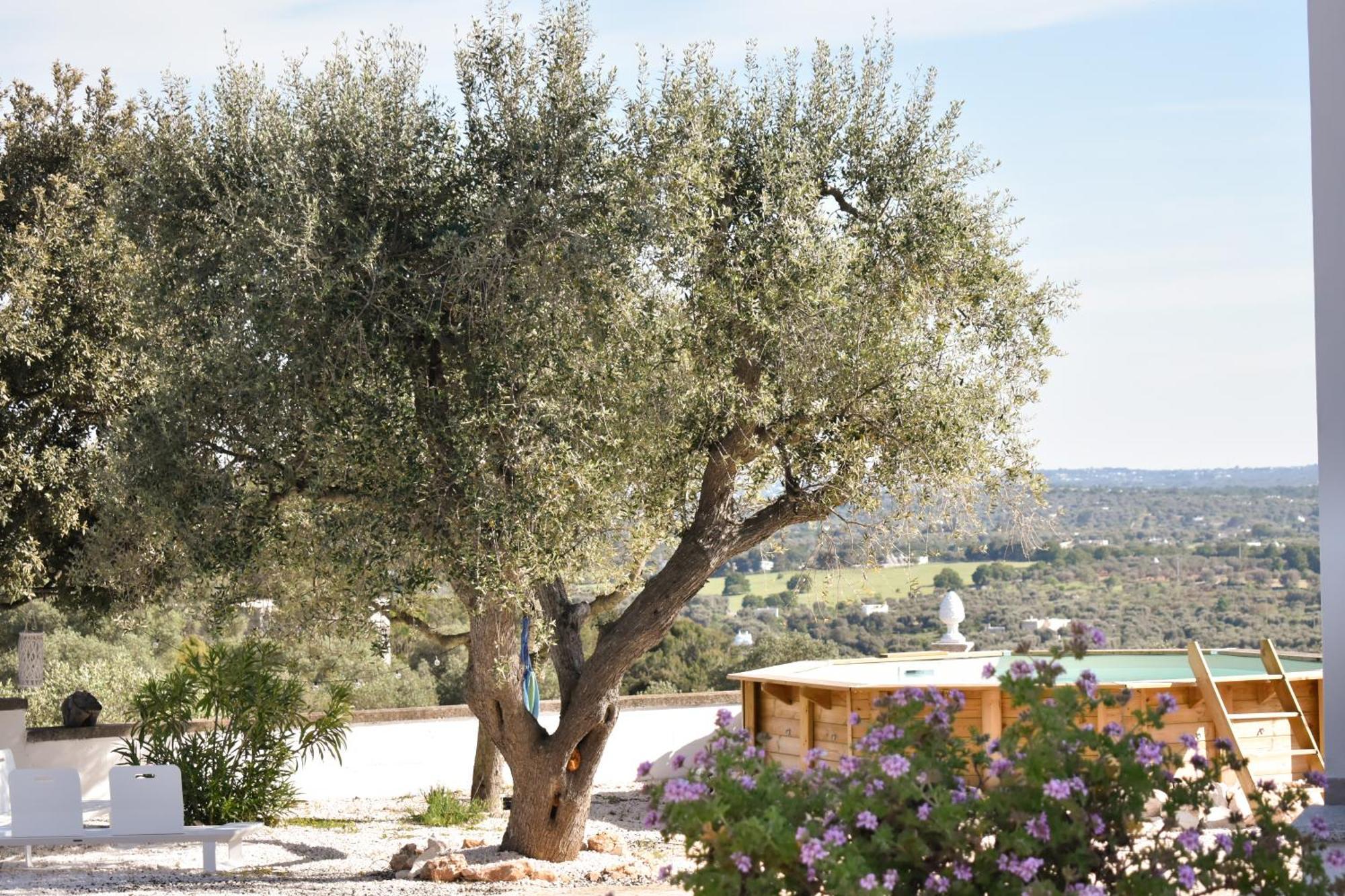 Terre D'Amore - For Couples Ostuni Exterior foto